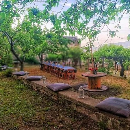 Domus Narnia Pansiyon Dış mekan fotoğraf